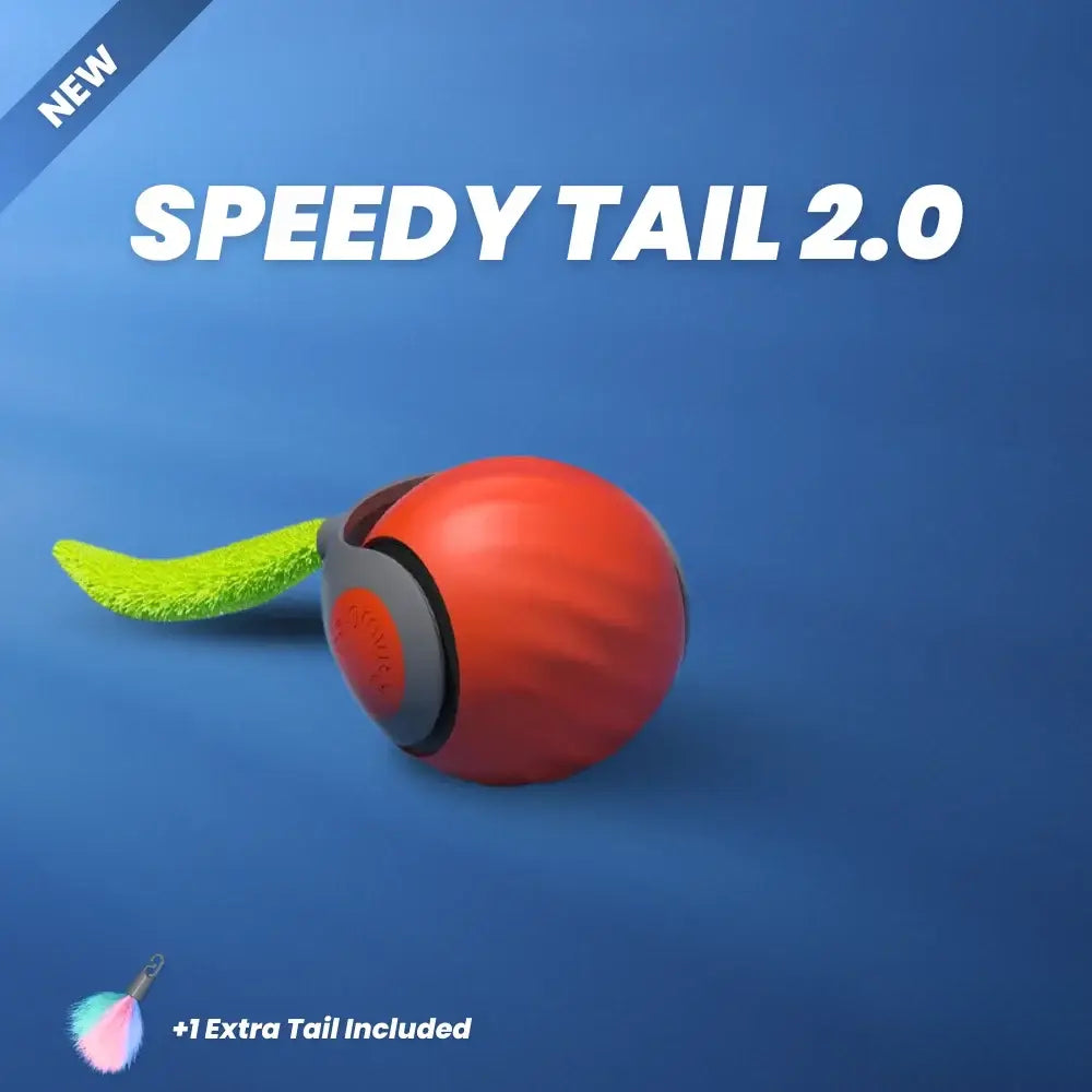 Interactive Rechargeable Cat Toy Ball – Fun & Active Play for Cats